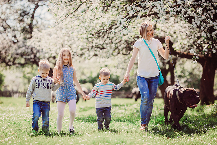 The mother, children and dog walking along park