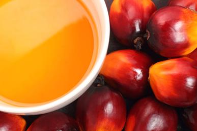 Interesting facts about palm oil