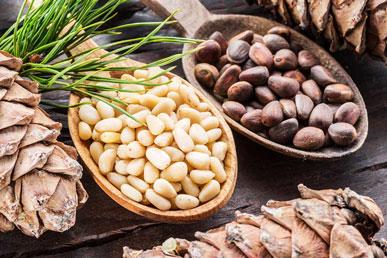 Interesting facts about pine nuts