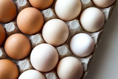 Telur adalah makanan super kesehatan