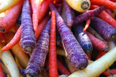 Apa warna wortel | Sifat yang berguna dari setiap warna