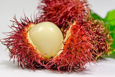 Karambola, liči, rambutan, mangostana, sapodilla, mučenka: úžasné exotické ovoce