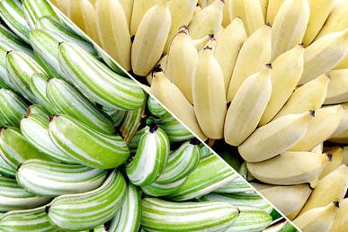 Welche bananenarten gibt es. Die ungewöhnlichsten Bananensorten
