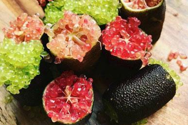 Limau jari, pokok gula-gula, pokok bebola meriam, annatto: buah yang kurang dikenali