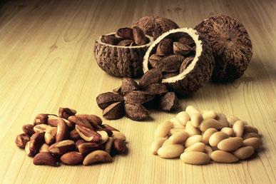 Zajímavá fakta o pěstování a používání para ořechů