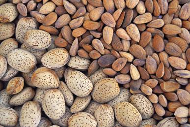 Types of almonds and how to use them