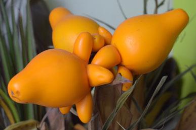Papilar de belladona, fruta de mono, junco de flor de la pasión, naranja: fruta extraña