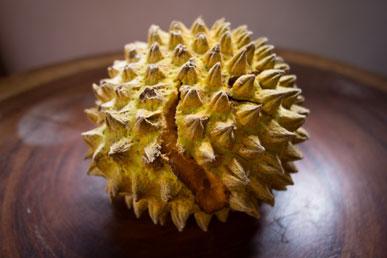 Sonkoya, imbu, ficus racemosus, yuzu: fantastiska frukter från hela världen