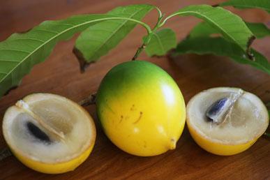 Caimito, malaiischer Apfel, Mabolo, Rangpur: erstaunliche Früchte aus aller Welt