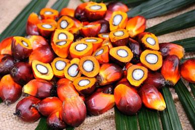 Масличная пальма, джамболан, атемойя, ши: самые удивительные фрукты со всего мира