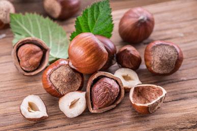 Interesting facts about hazelnuts