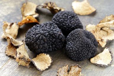 Interesting facts about truffles
