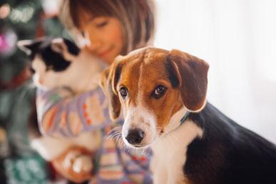 Children and pets: we follow safety rules