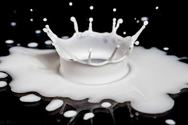 Le lait : est-il si utile ?