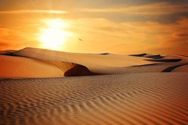 Missverständnisse in der Wüste