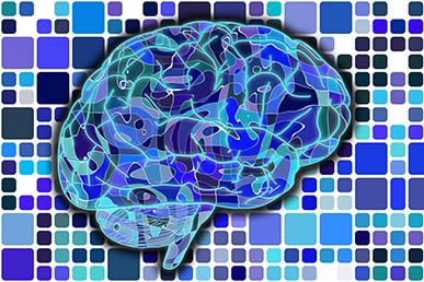 Veel voorkomende misvattingen over het menselijk brein