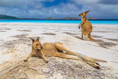 Kangaroo beach, Penguin beach, Pillar beach, Jurassic beach, Největší umělá pláž, Boat beach
