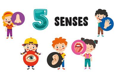 Percepcja sensoryczna | Ile uczuć znasz?