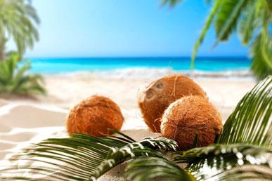 Hva er inni en kokosnøtt?