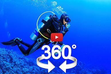 Incrível experiência de mergulho 360°