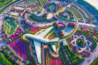 दुबई मिरेकल गार्डन – दुनिया का सबसे बड़ा फूलों का बगीचा