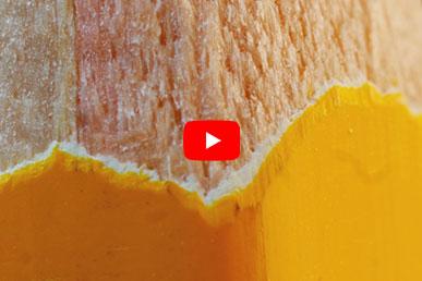 Fascinating video about macro photography of things familiar to us