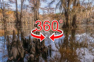 Đầm lầy cây bách tuyệt vời ở Mỹ | Khả năng hiển thị 360 °