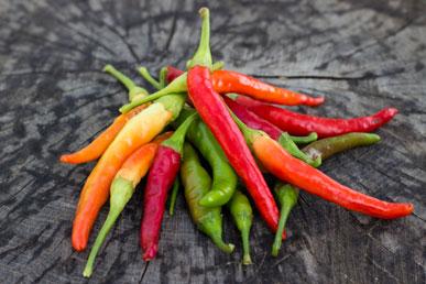 Is spicy food harmful?