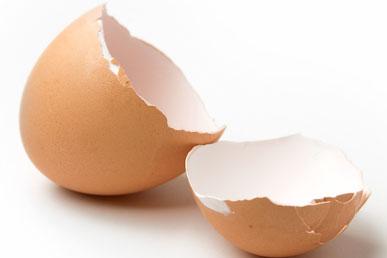 Zajímavá fakta o vaječných skořápkách